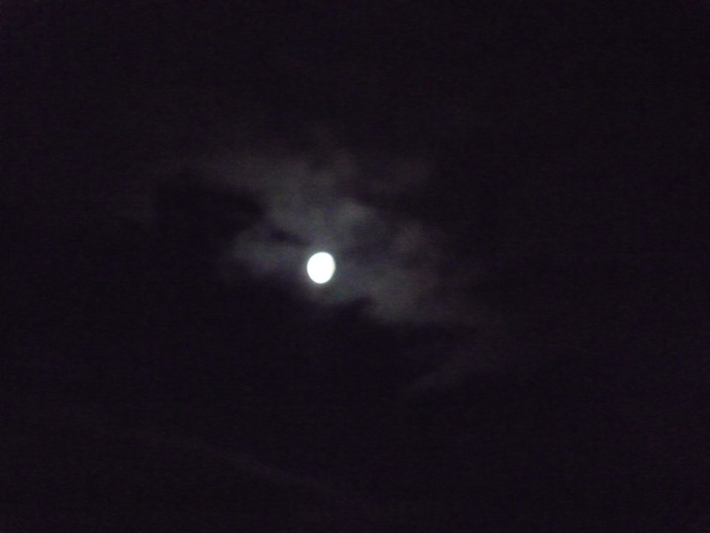 e0018604_1043634.jpg