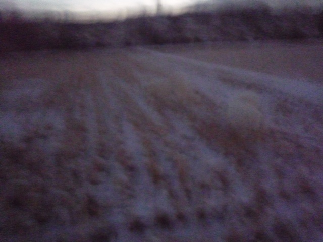e0018604_1074519.jpg