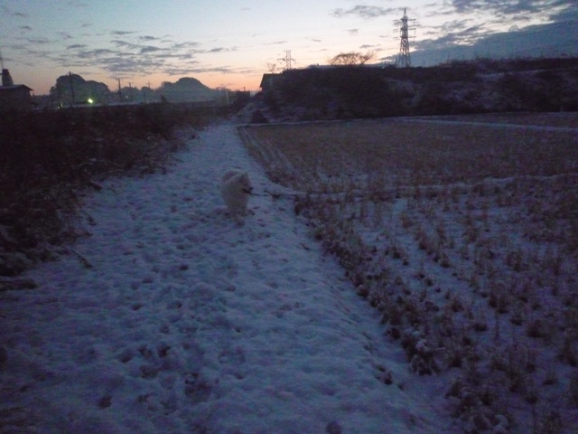 e0018604_1092265.jpg