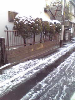 e0131904_15581363.jpg