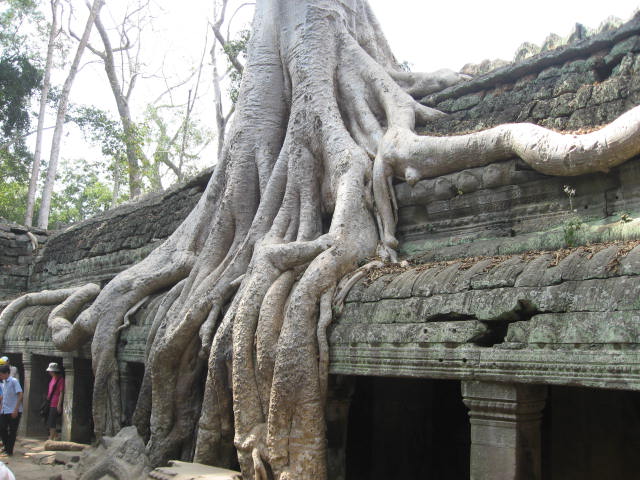 a0100706_0193193.jpg