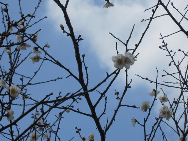 f0159406_1221534.jpg