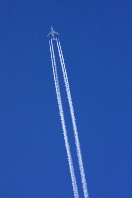 b0180907_22354114.jpg