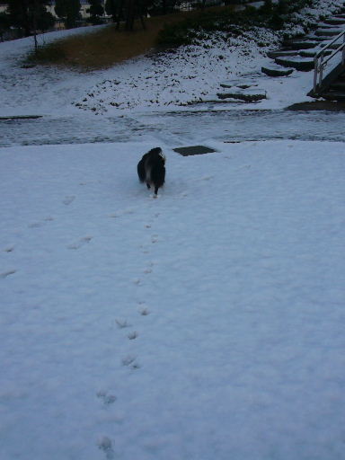 e0130008_19304625.jpg