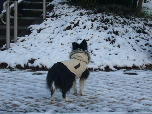 e0130008_1931825.jpg