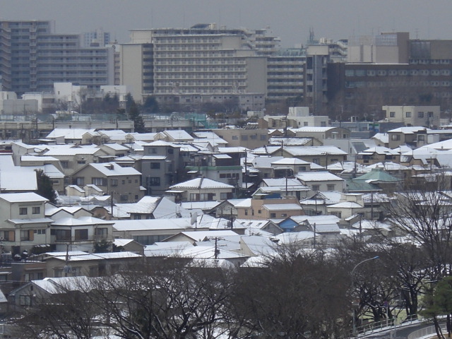 f0169509_1812768.jpg