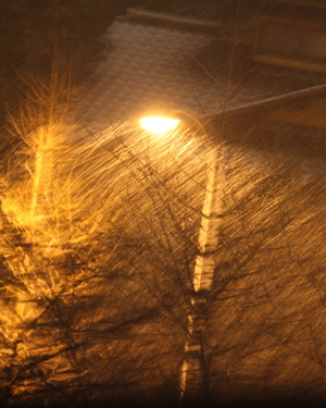 c0186410_2011322.jpg