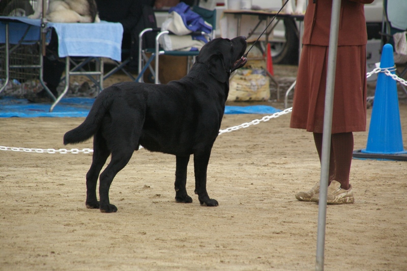 d0081210_234039.jpg