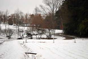 e0005411_13265480.jpg