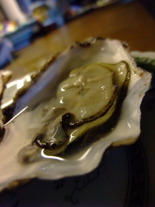 c0167813_612071.jpg