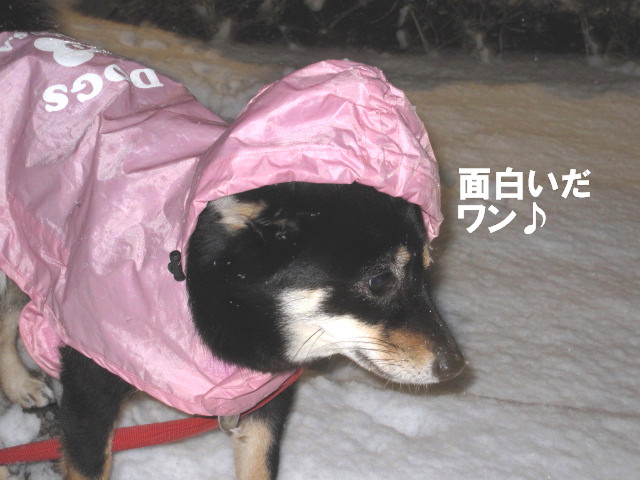 c0185516_11242633.jpg