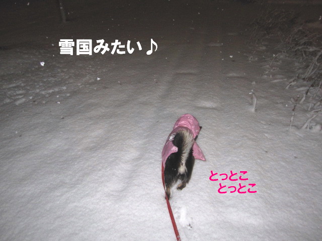 c0185516_11244024.jpg