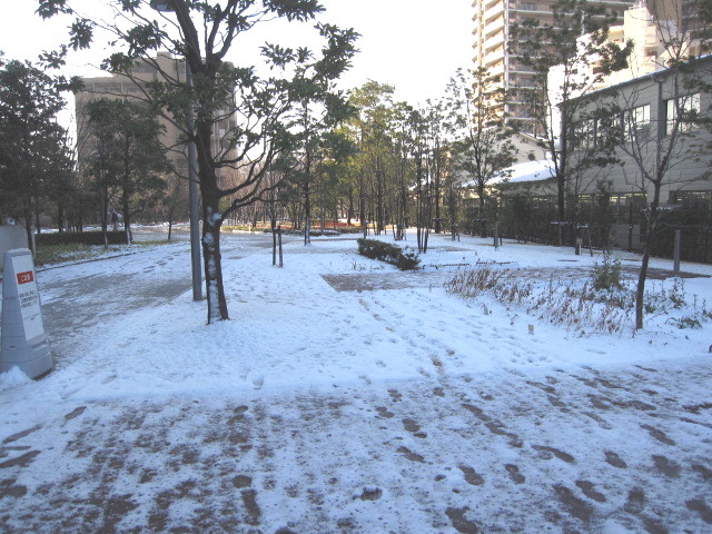 c0185516_1130999.jpg