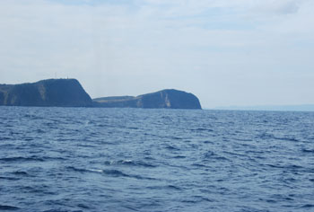 a0142117_273549.jpg