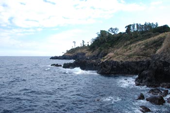 a0142117_31471.jpg