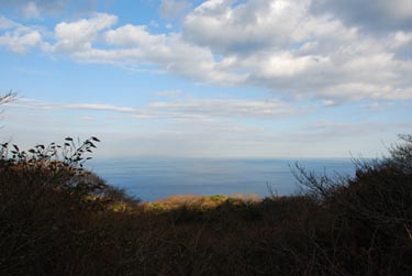 a0142117_4265861.jpg