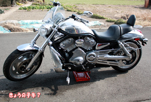 f0203423_13354280.jpg