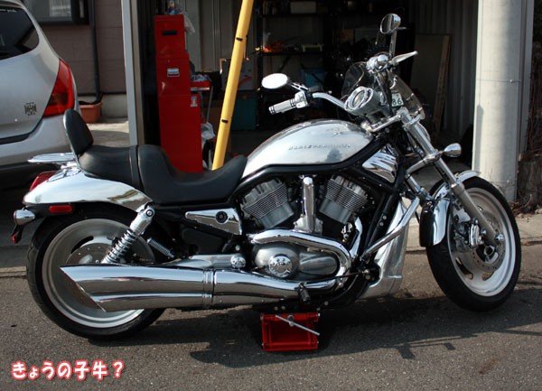 f0203423_13355046.jpg