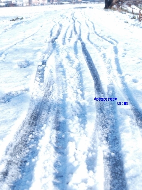 c0202938_11224423.jpg