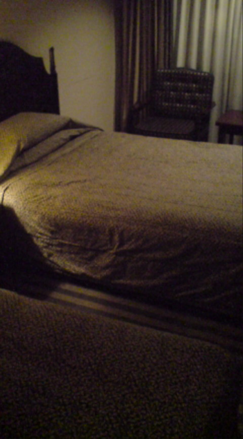 f0190038_1355923.jpg