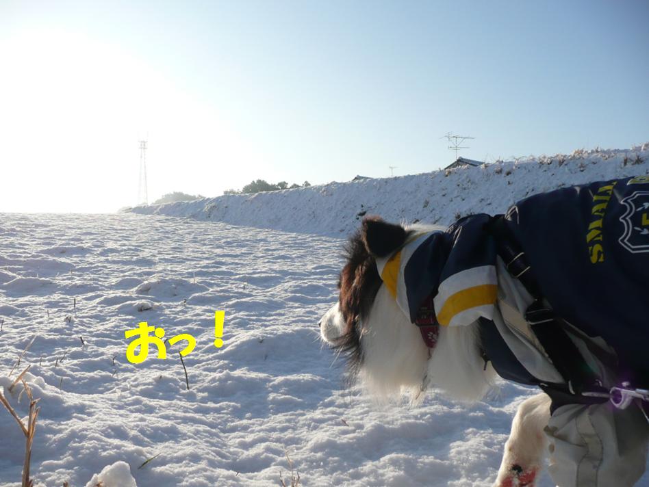 c0147241_10501668.jpg