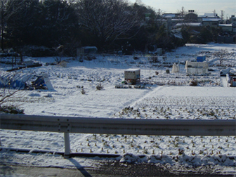 c0086746_13494996.jpg