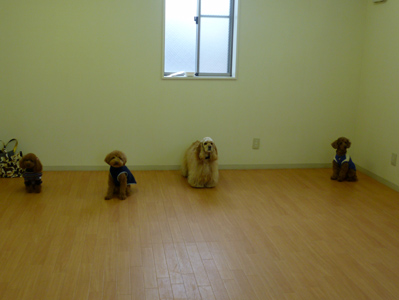 c0200246_20132290.jpg