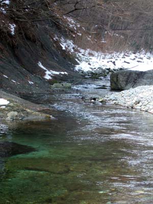 a0123248_22533462.jpg