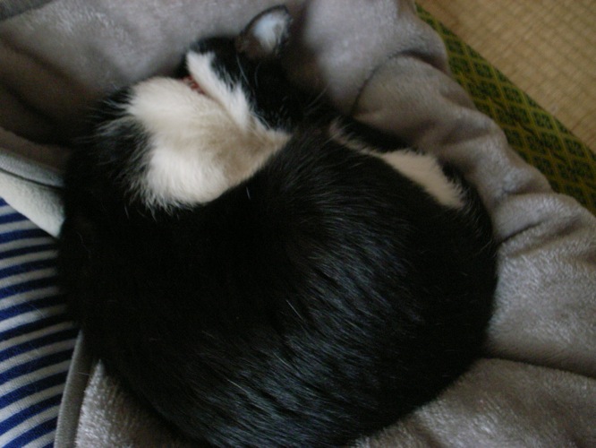 c0138553_11274690.jpg