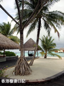f0190653_923619.jpg