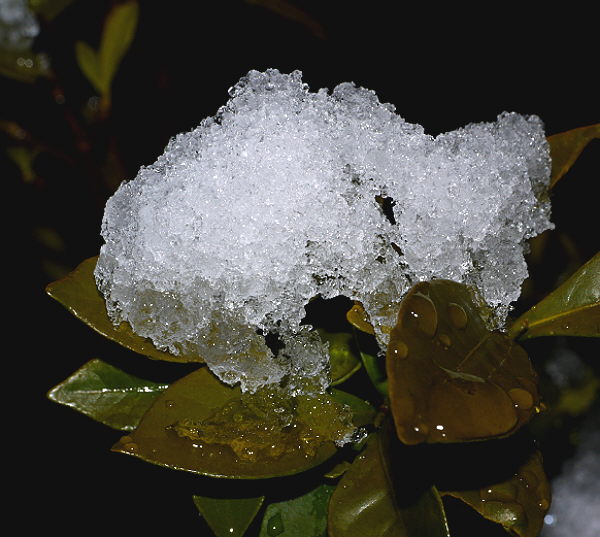 d0091754_3563360.jpg