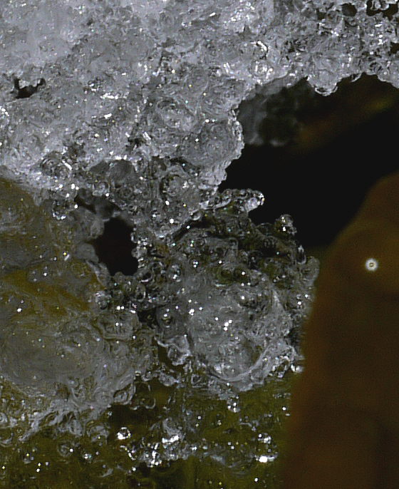 d0091754_3583299.jpg