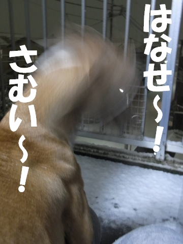 f0158862_2029677.jpg