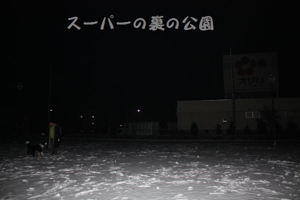 a0100564_5363186.jpg