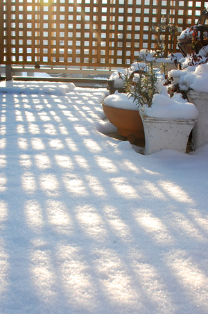 f0177964_21402531.jpg