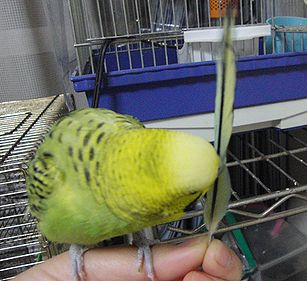f0196665_017025.jpg