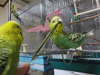 f0196665_020998.jpg