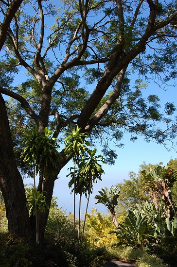 e0128367_9191018.jpg