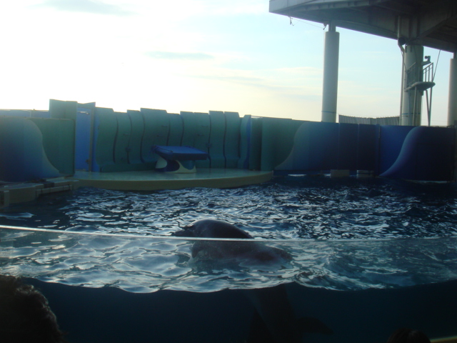 f0048168_11184747.jpg