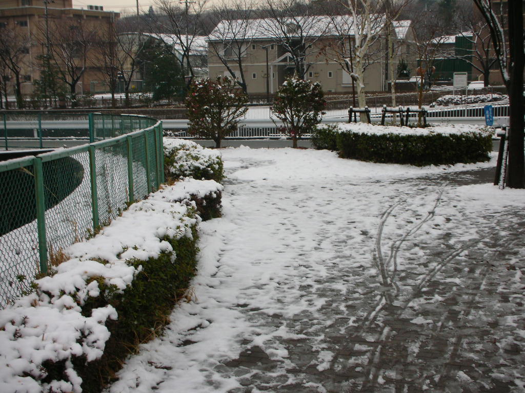 f0186368_11153946.jpg