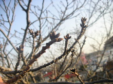 b0175571_0161921.jpg