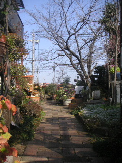 b0175571_0382115.jpg