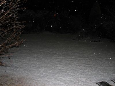 d0050472_004021.jpg