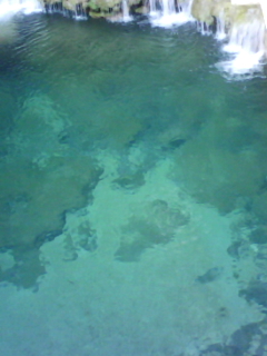 b0134673_1013850.jpg