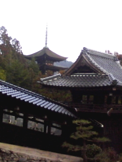 b0134673_10302526.jpg
