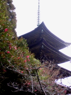 b0134673_1030610.jpg