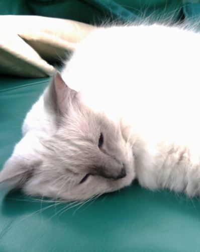 f0000673_22495065.jpg
