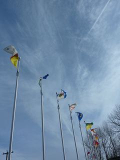 c0080075_5483926.jpg