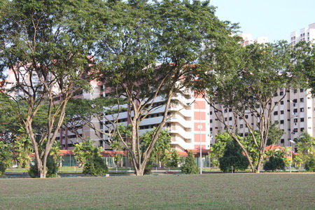 a0002177_10271775.jpg