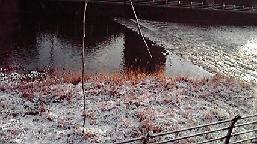 f0098680_17404392.jpg